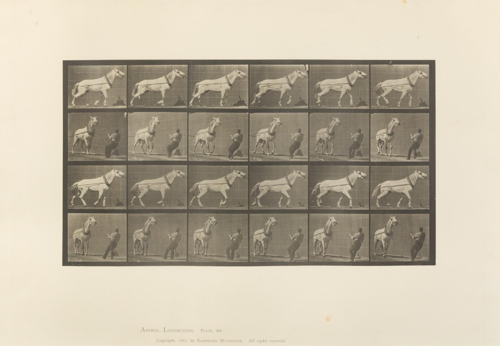 Eadweard Muybridge, (American/British, 1830-1904), Animal Locomotion Plate 573, Animal Locomotion Plate 629 and Animal Locomotion Plate
