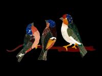 A Set of Four Italian Pietra Dura Plaques
