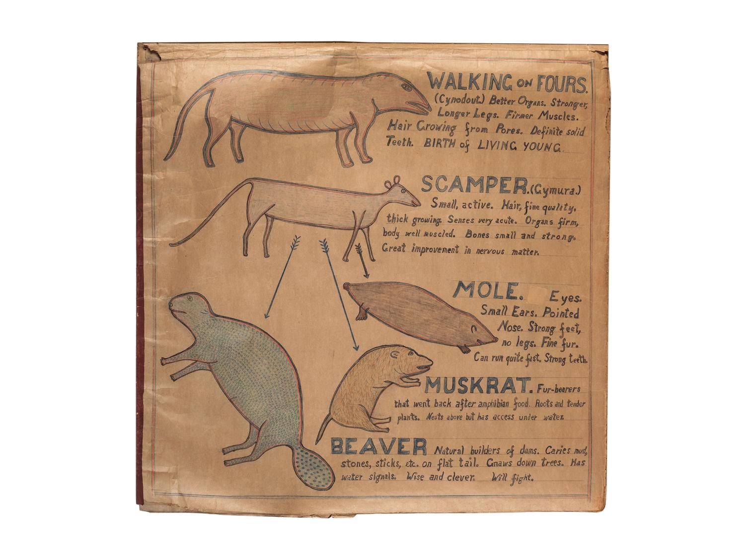 A Bound Set of Folk Art Scientific Drawings