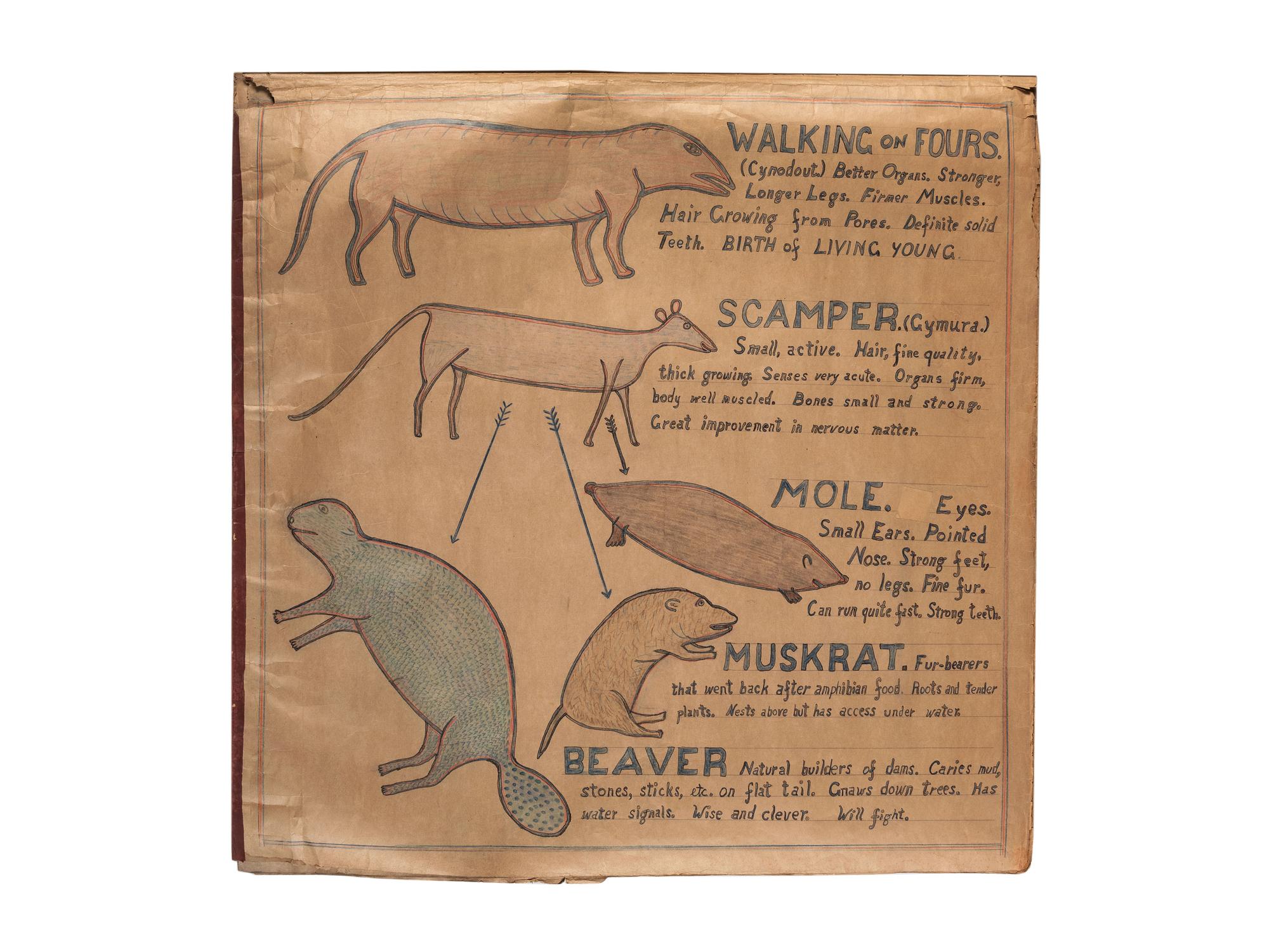 A Bound Set of Folk Art Scientific Drawings