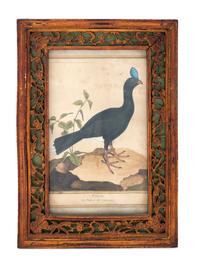 Twelve French Hand-Colored Bird Engravings — Designed and Engraved by Francois Nicolas Martinet (1731-1804); From Histoire Naturelle des Oiseaux by George-Louis Marie Leclere, Comte de Buffon; Printed at the Imprimerie Royale, 1770-1786