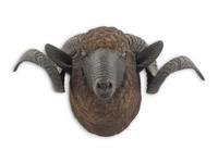 A Carved Walnut Ram's Head