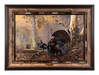 Strutting Gobbler