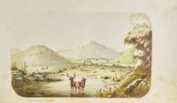 Webber, C.W. The Hunter-Naturalist. Romance of Sporting; or, Wild Scenes and Wild Hunters