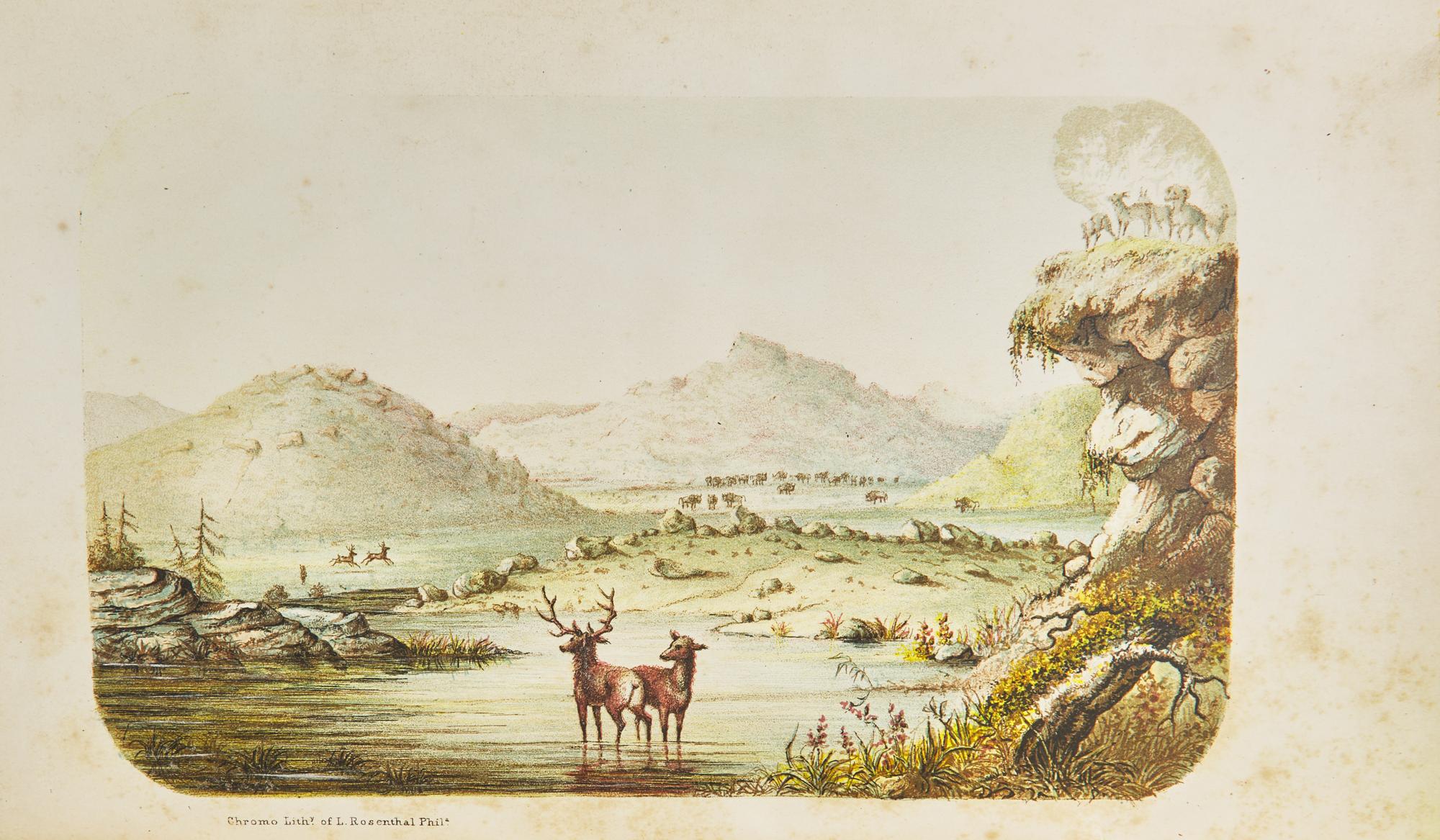 Webber, C.W. The Hunter-Naturalist. Romance of Sporting; or, Wild Scenes and Wild Hunters