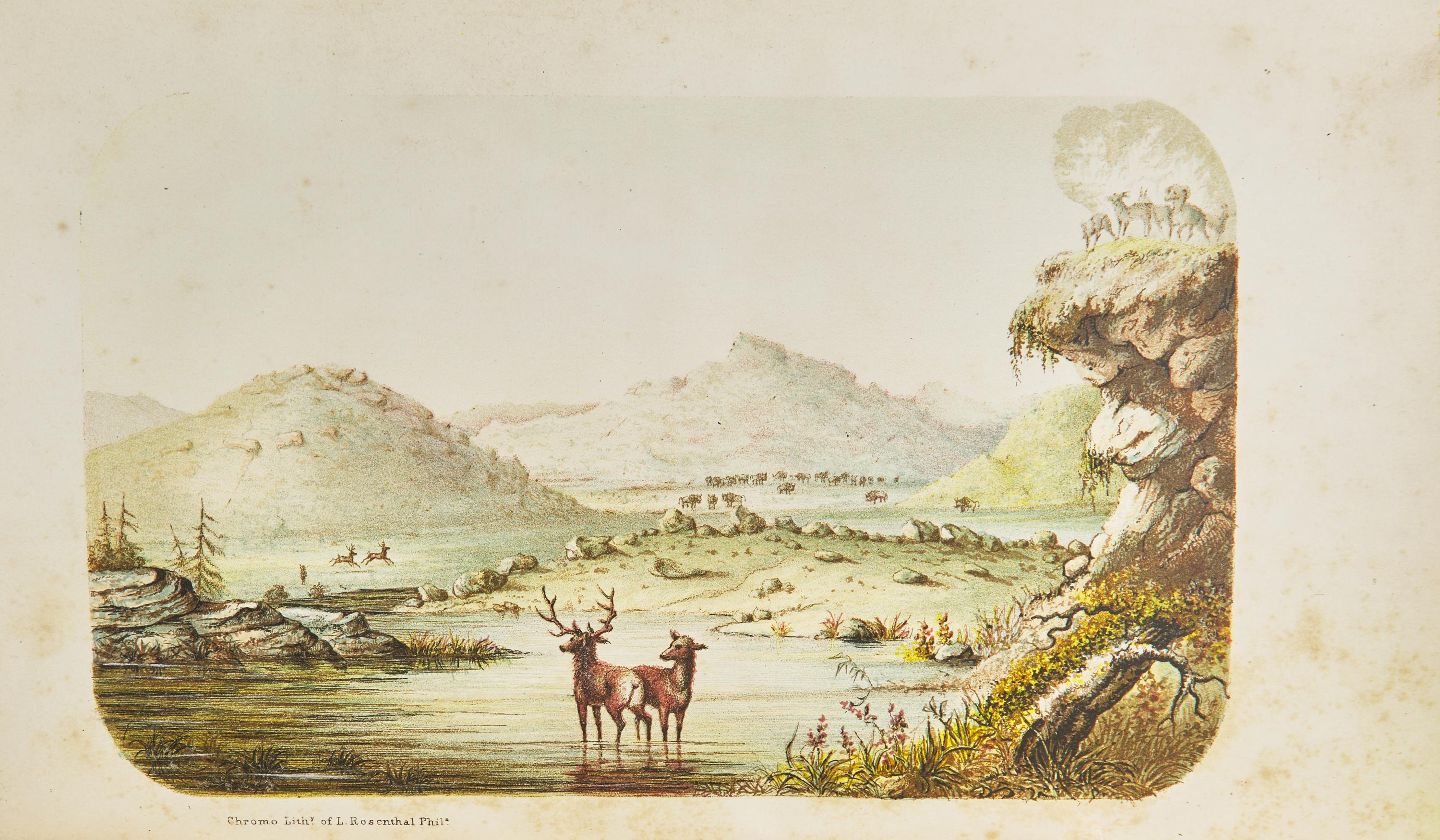 Webber, C.W. The Hunter-Naturalist. Romance of Sporting; or, Wild Scenes and Wild Hunters
