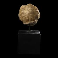 A Roman Marble Head of an Infant