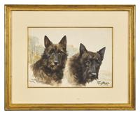 Scottish Terriers, 1922