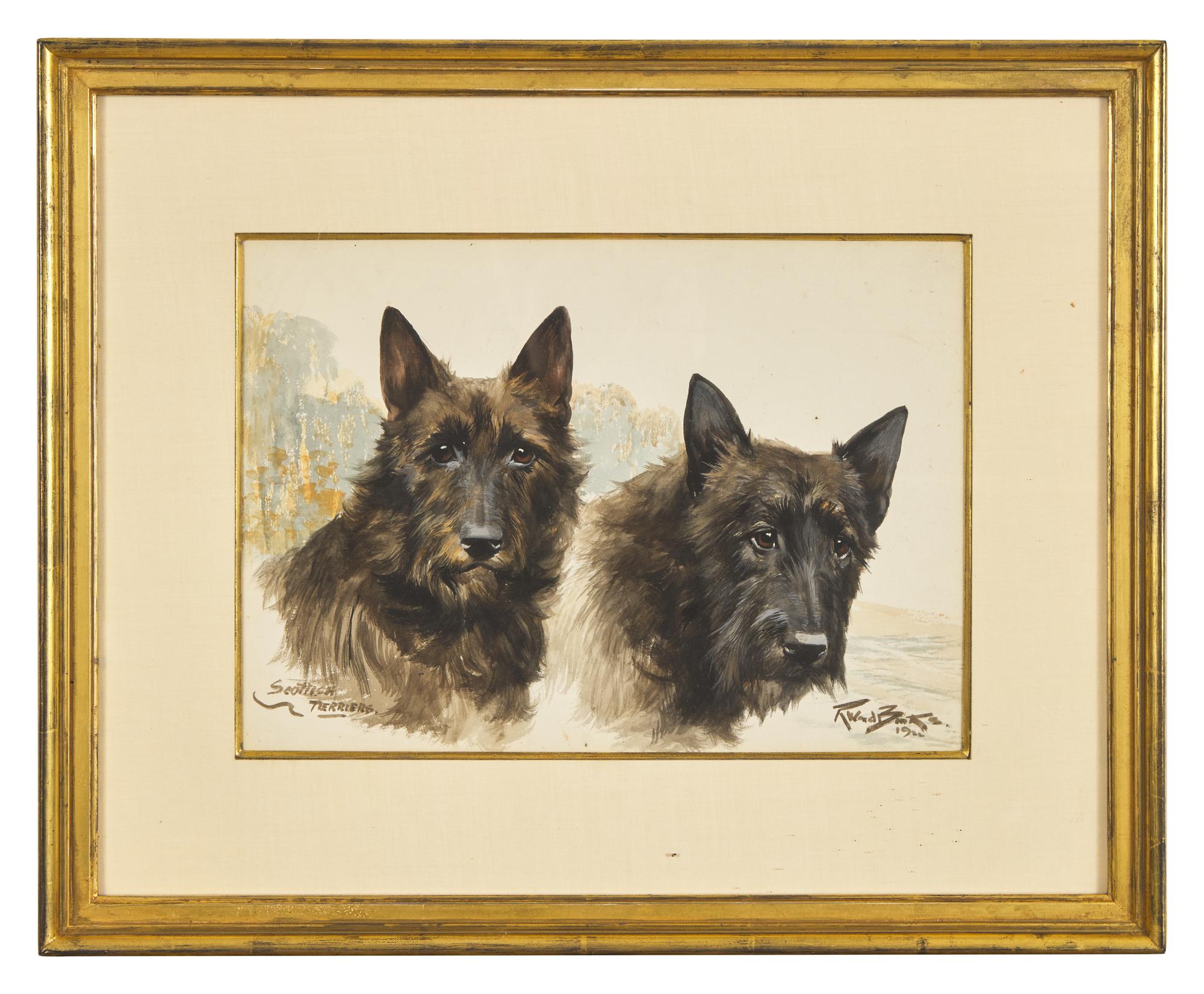 Scottish Terriers, 1922
