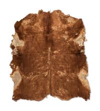 Apsáalooke (Crow) Painted Hide Robe
