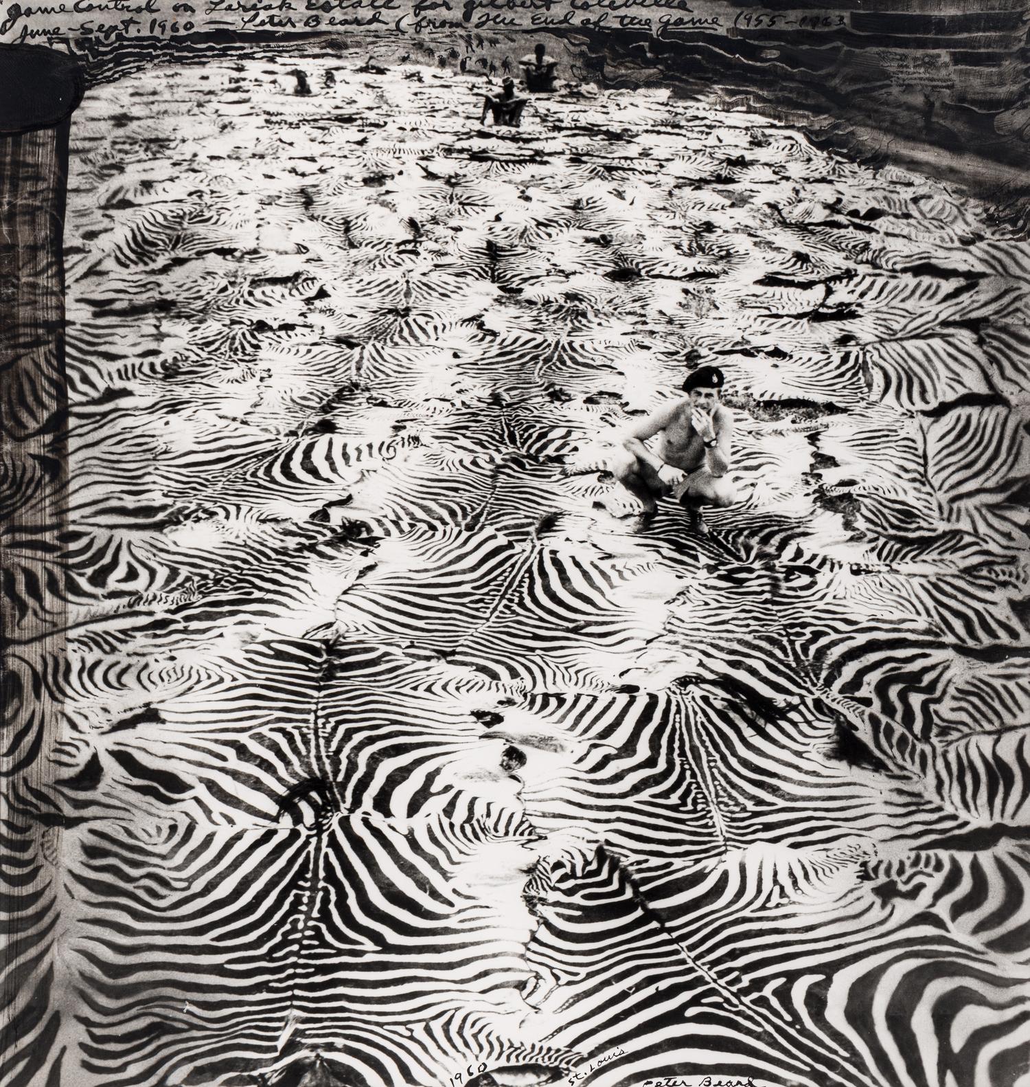 Game Control on Lariak Estate for Gilbert Coleville (from The End of the Game ), 1960