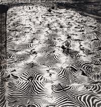 Game Control on Lariak Estate for Gilbert Coleville (from The End of the Game ), 1960
