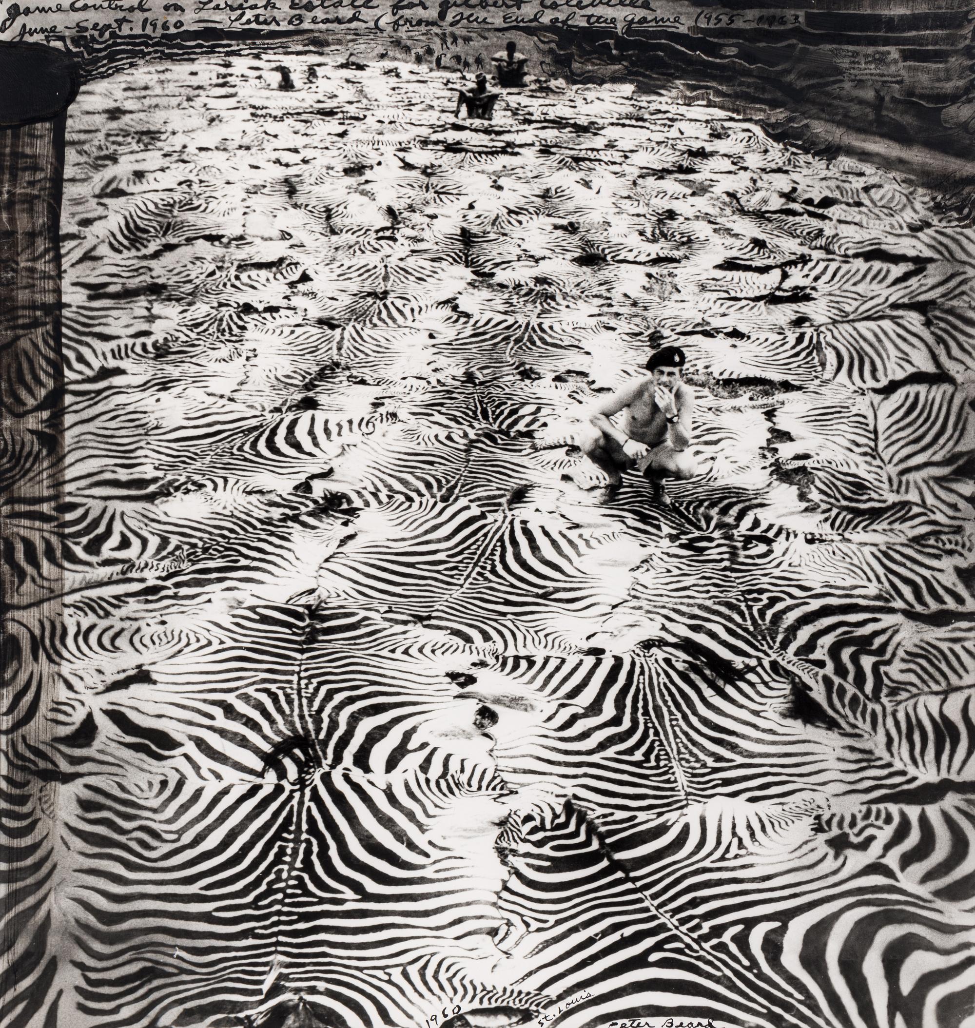 Game Control on Lariak Estate for Gilbert Coleville (from The End of the Game ), 1960