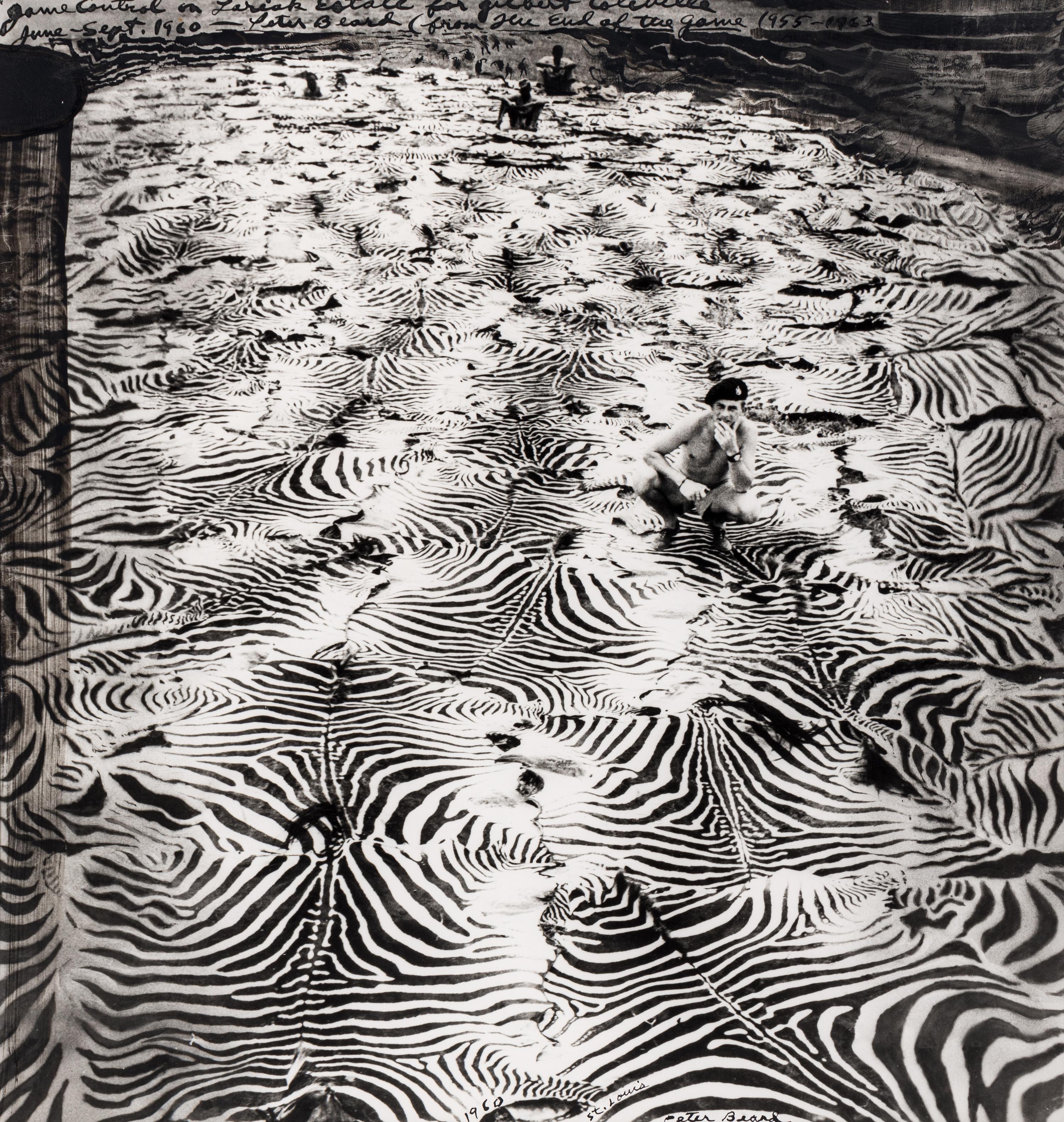Game Control on Lariak Estate for Gilbert Coleville (from The End of the Game ), 1960