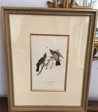 The Birds of America, Royal Octavo Edition, Bowen Edition