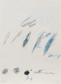 Natural History Part II: Some Trees of Italy (complete portfolio of 8)