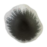 Small Vessel