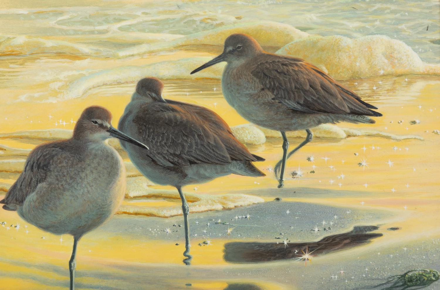 Willet Watch , 1999