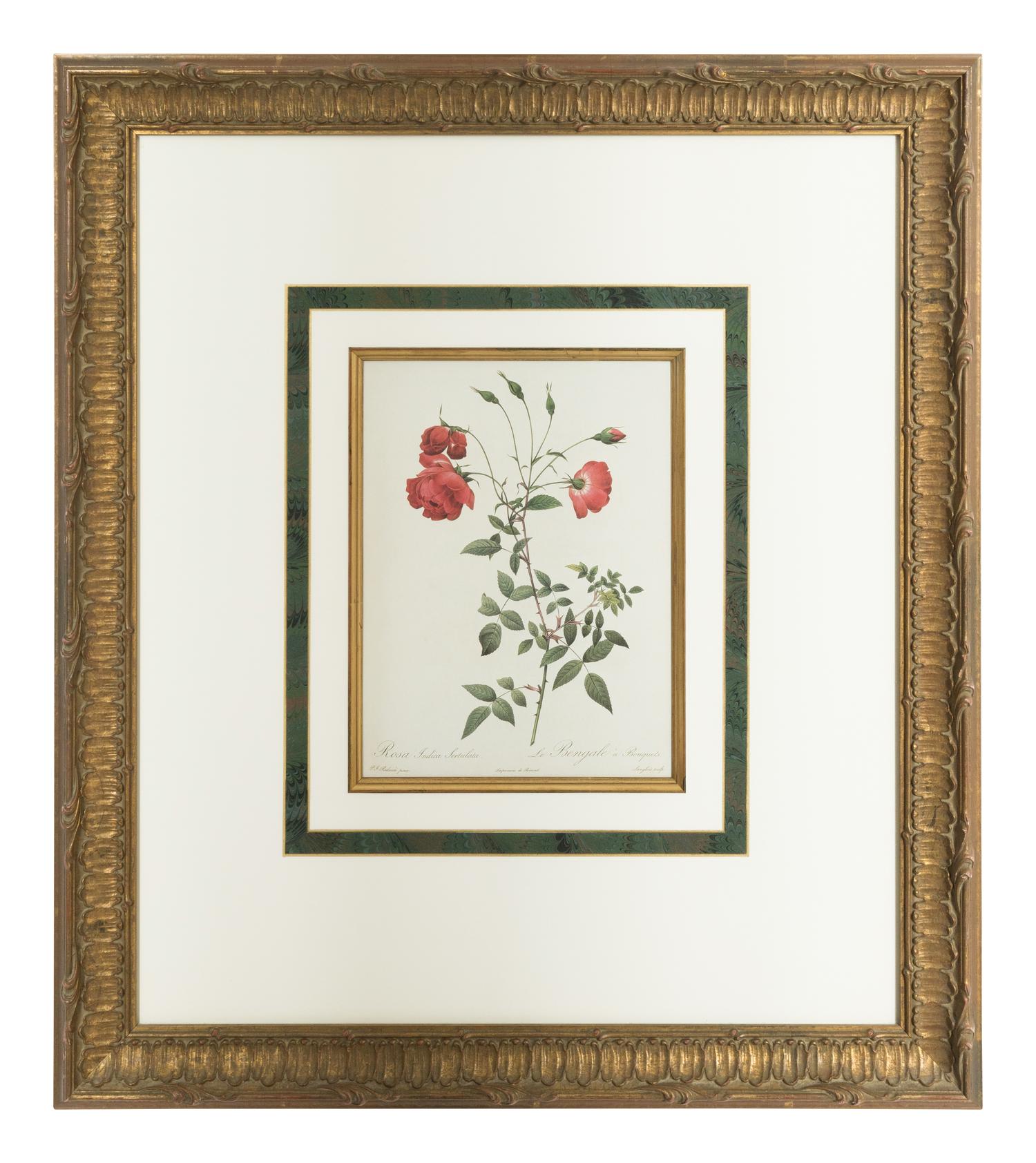 A Set of Six Chromolithographs of Roses after Pierre Joseph Redouté