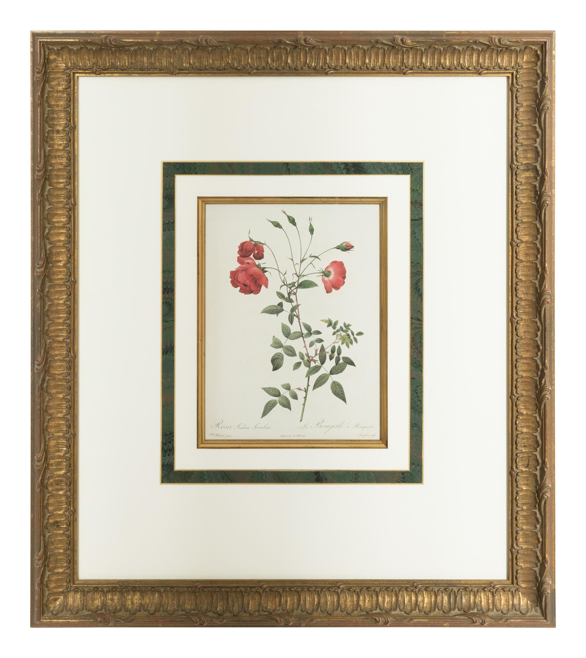 A Set of Six Chromolithographs of Roses after Pierre Joseph Redouté