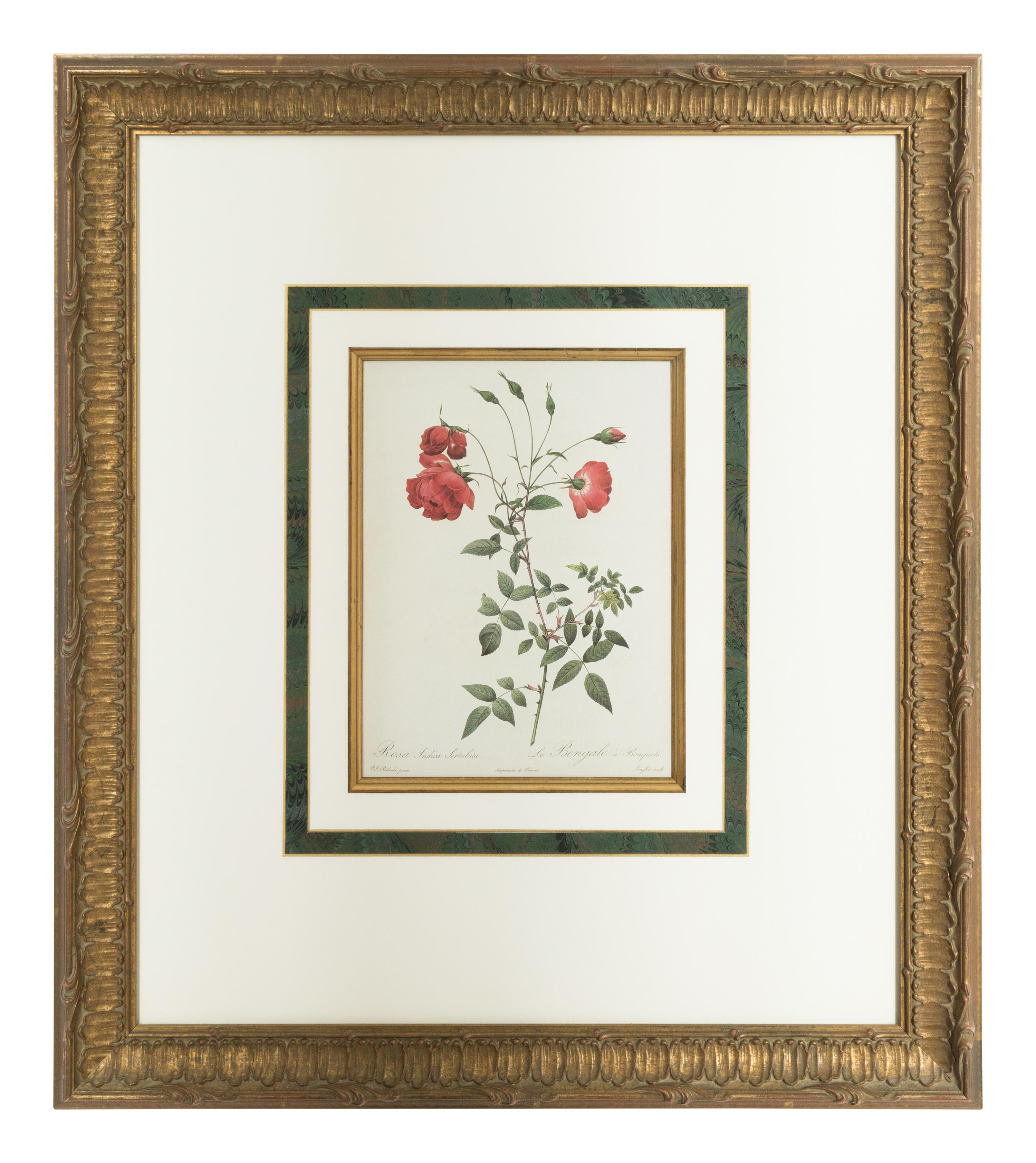 A Set of Six Chromolithographs of Roses after Pierre Joseph Redouté