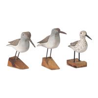 A Group of Three Carved and Painted Wood Sandpiper Shorebirds