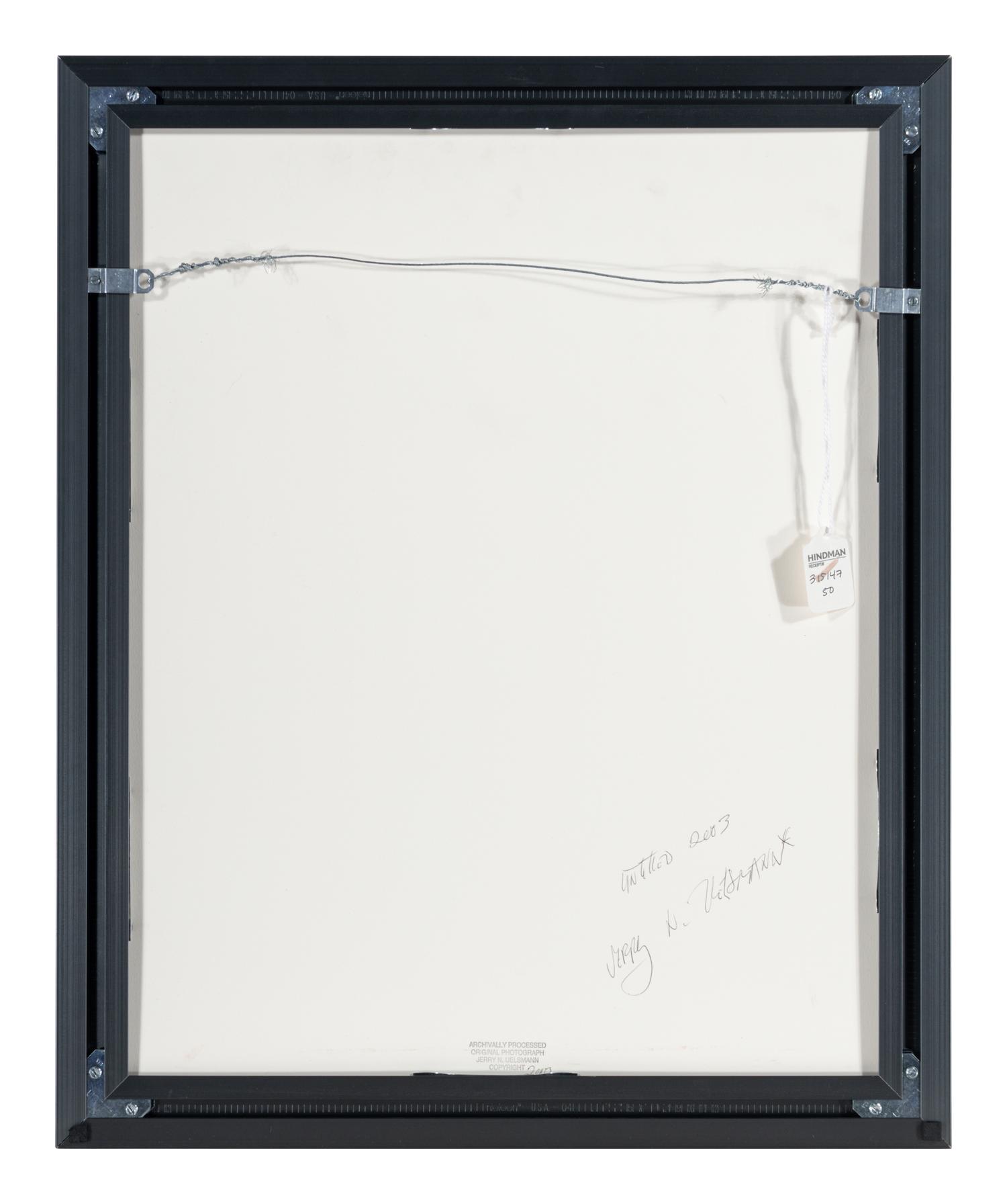 Untitled (Hands Emerging from Lake) , 2003