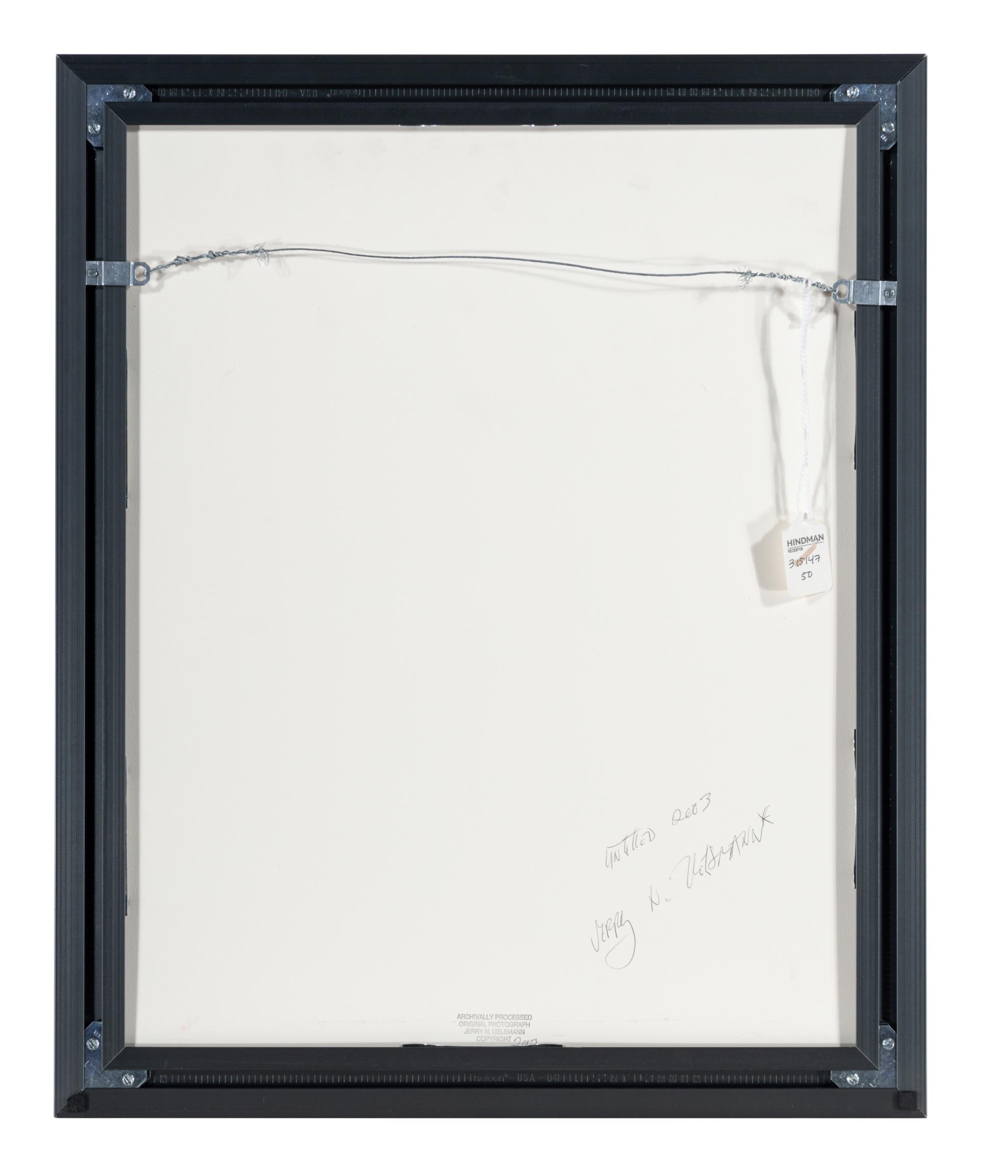 Untitled (Hands Emerging from Lake) , 2003