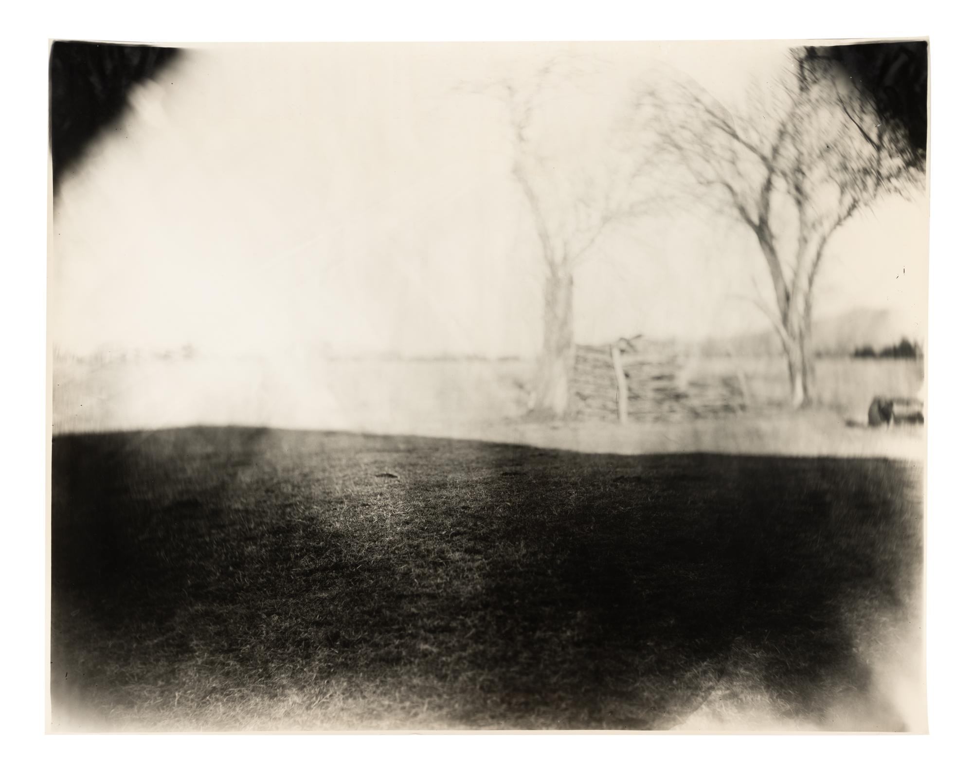 Georgia Untitled (Dodd's Farm), from the series Georgia
