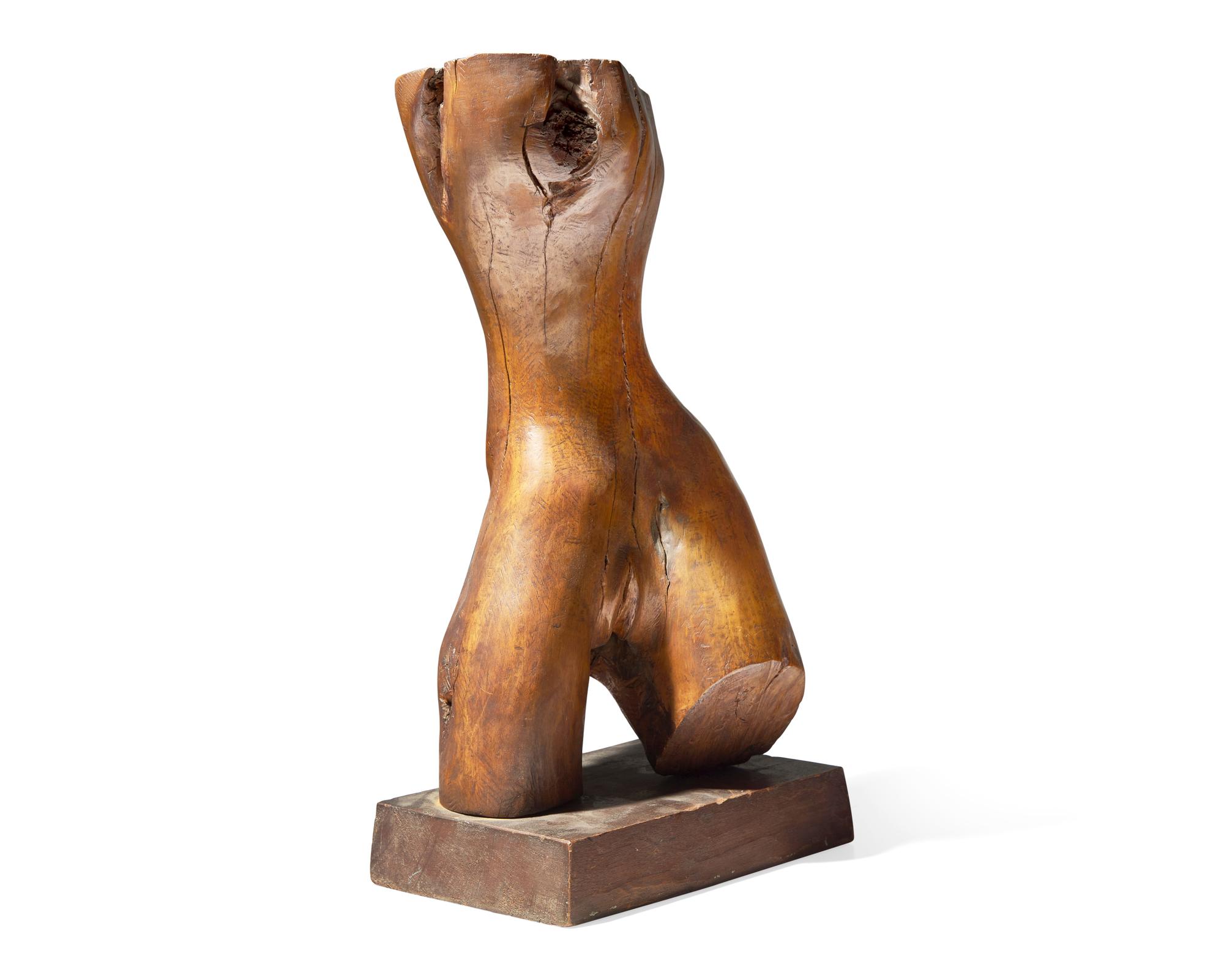 Torso