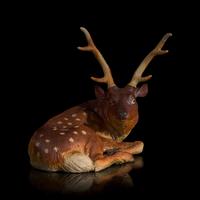 A Japanese Studio Ceramic Figure of a Recumbent Deer, Meiji/Taisho Period