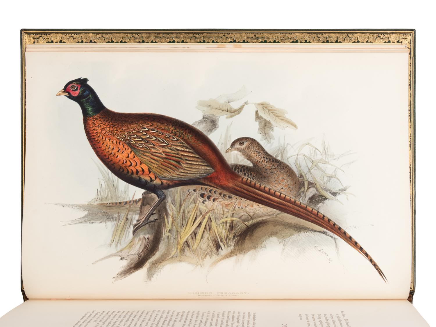 [NATURAL HISTORY]. GOULD, John (1804-1881). The Birds of Europe . London: Richard and John E. Taylor, [1832-] 1837.
