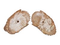 Two Continental Carved Alabaster Masks