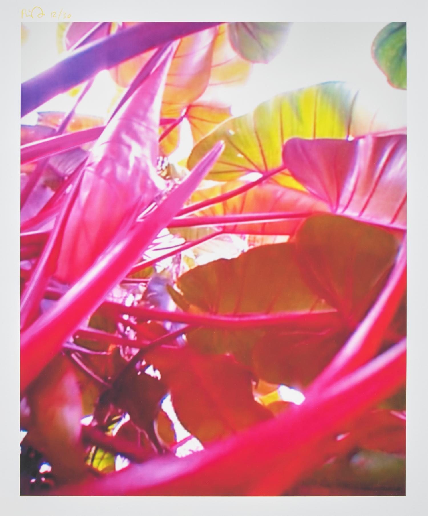 Pipilotti Rist (Swiss, b. 1962) — Small Homo Plants Herself