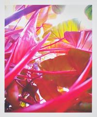 Pipilotti Rist (Swiss, b. 1962) — Small Homo Plants Herself