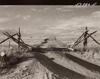 A group of five photographs ( Parishoners Peeling Tomatoes, Bardstown, KY, 1940; Breathitt County, KY, 1940; Radford, VA Farm, 1941; Riner, VA , 1941; Cattle Guard, 1941)
