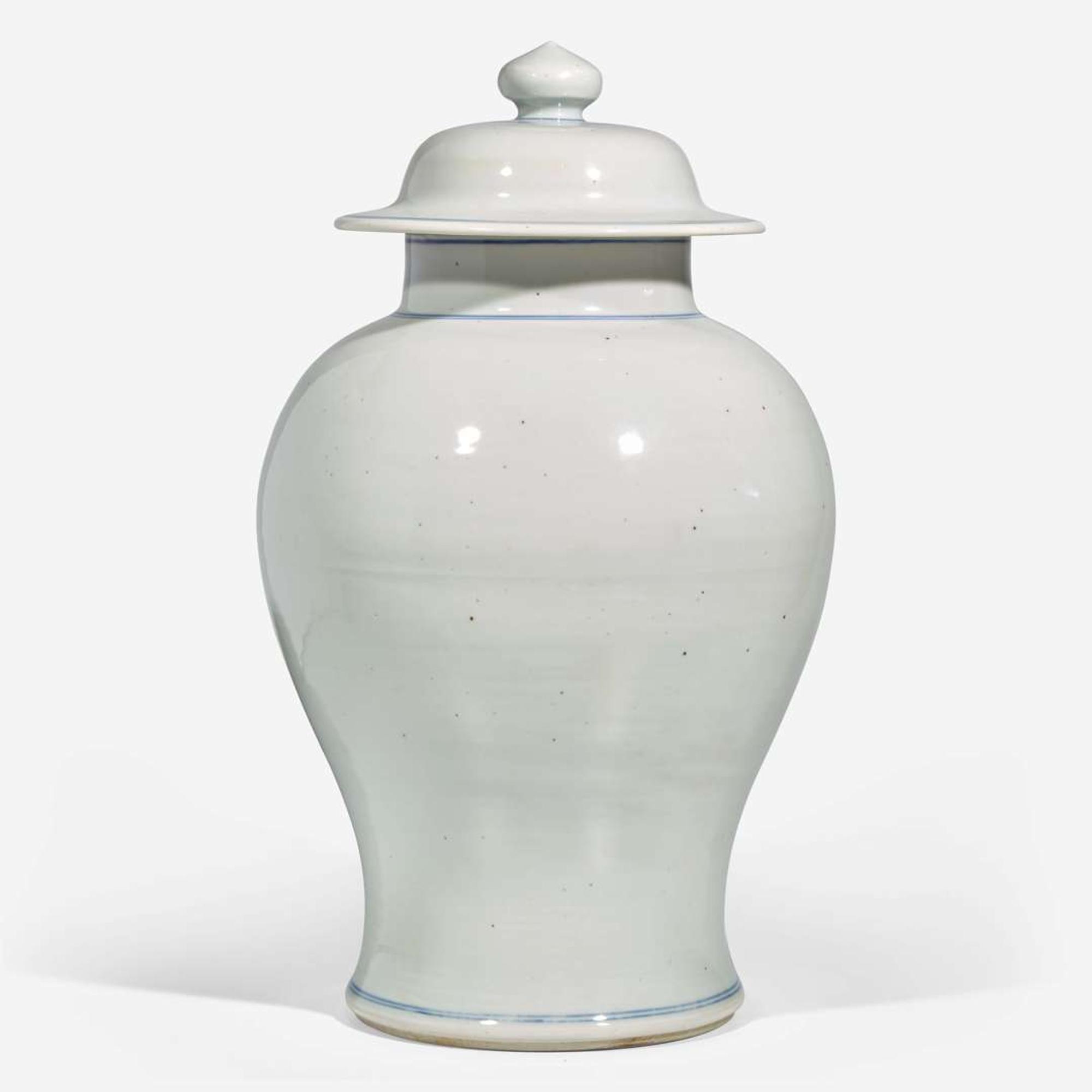 An unusual Chinese blue and white Buddhist jar and cover 青花蓋罐