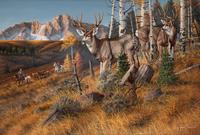 Fall Roundup