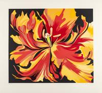 Eight prints (with portfolio case), 1980-1985