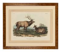 AUDUBON, John James (1785-1851). Pair of lithographs with hand-coloring from Quadrupeds of America , J. T. Bowen , on wove paper, comprising: