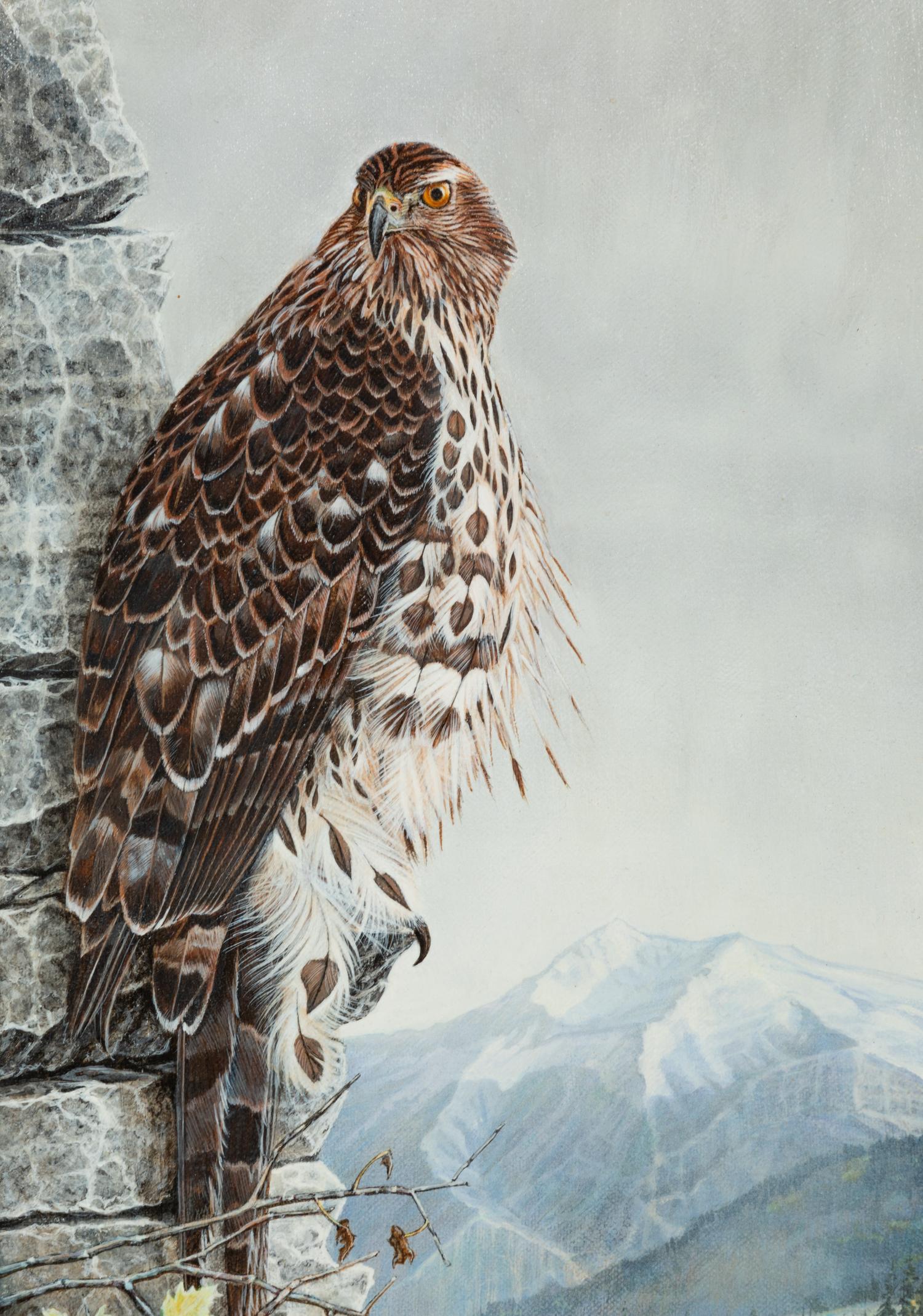 Autumn Hawk , 1992