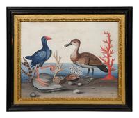 A Set of Six Irish George III Embossed Bird Pictures by Samuel Dixon
