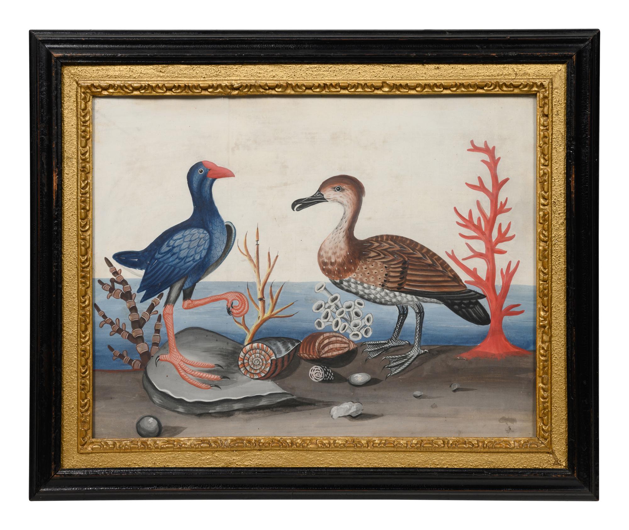 A Set of Six Irish George III Embossed Bird Pictures by Samuel Dixon