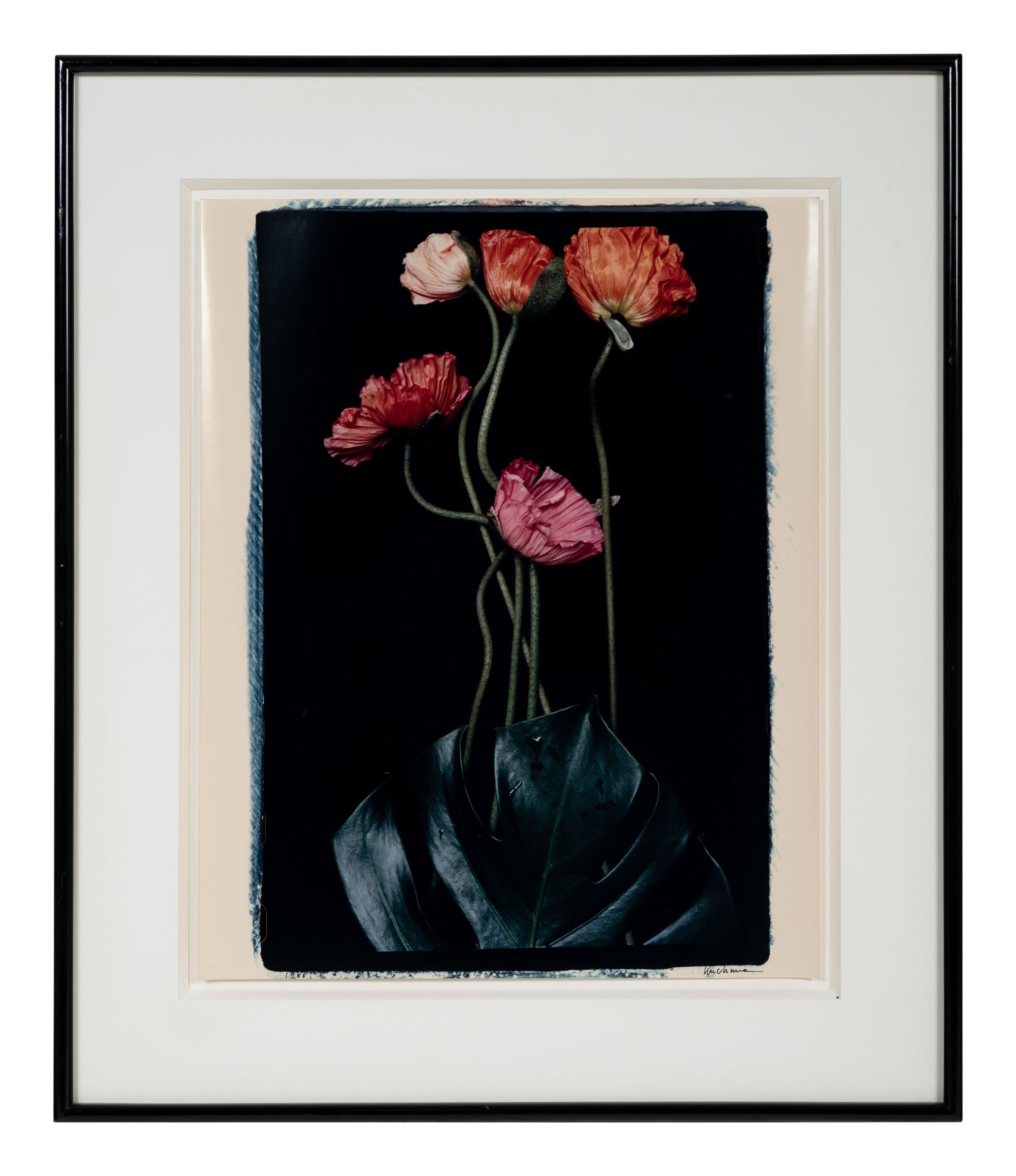 Three Poppies One and Spectrum of Five Poppies One (Pair of Works)