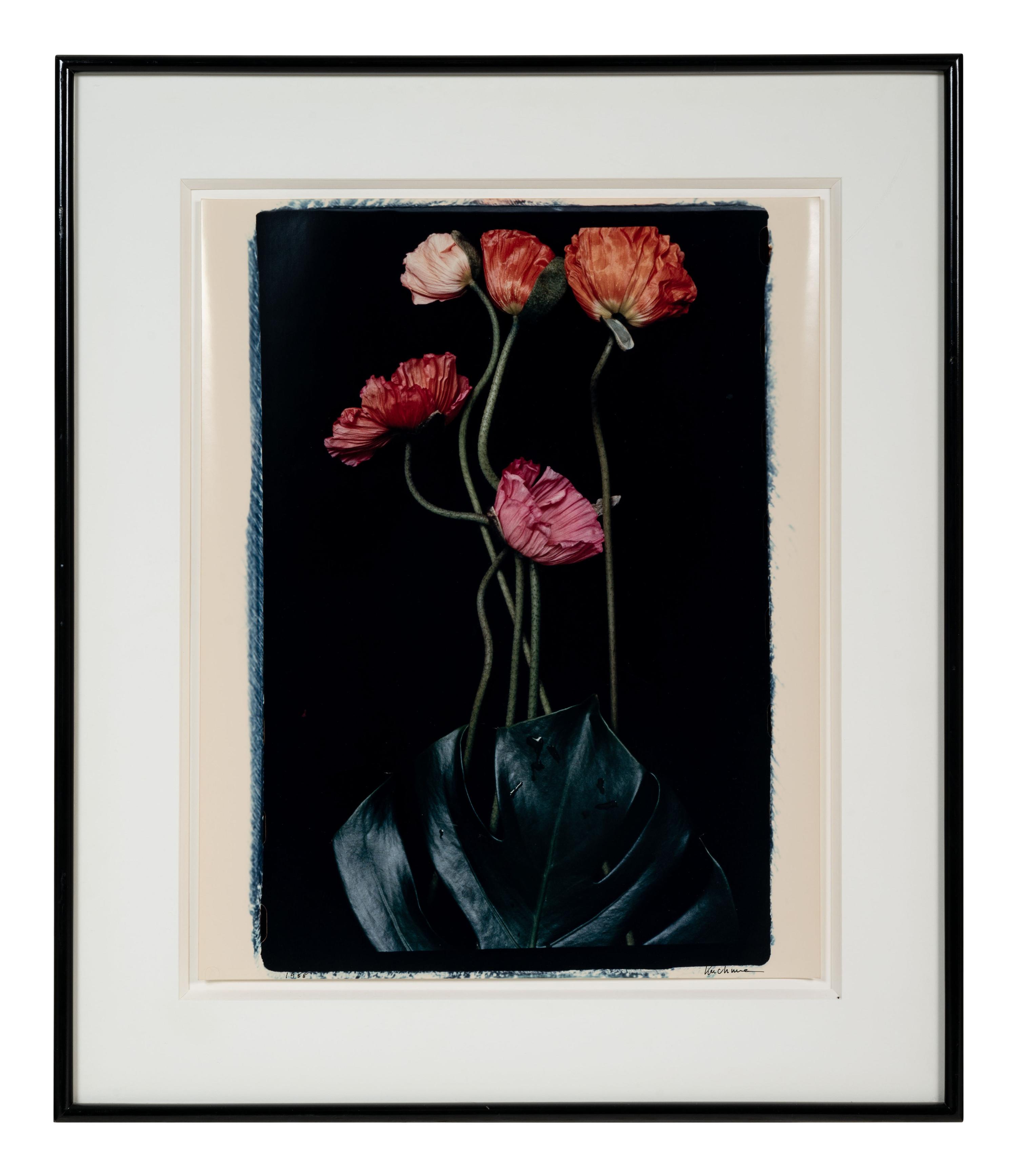 Three Poppies One and Spectrum of Five Poppies One (Pair of Works)