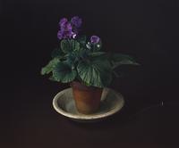 Fernando Rivero (Spanish, 1928-2010) — Primula, 1986