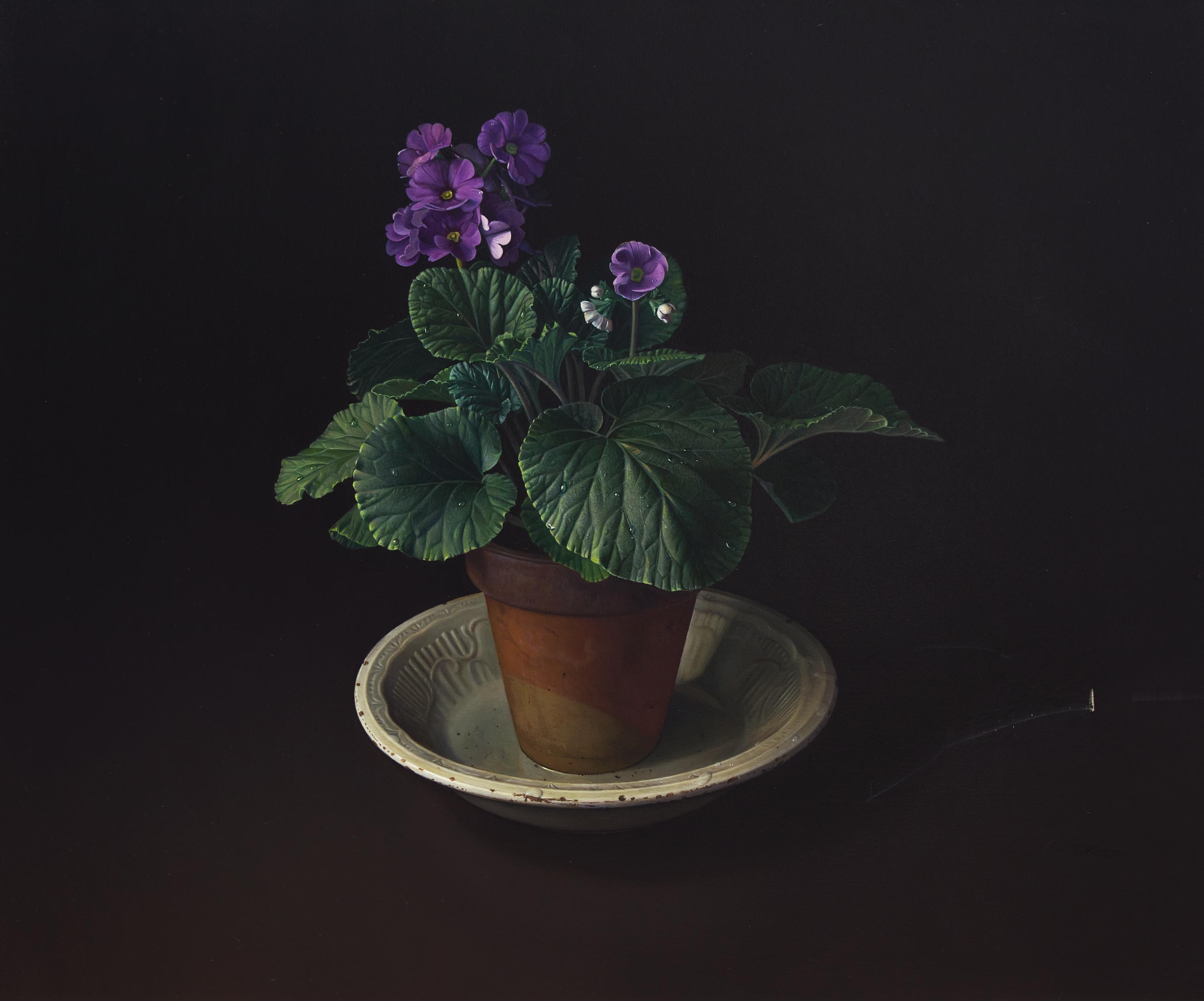 Fernando Rivero (Spanish, 1928-2010) — Primula, 1986