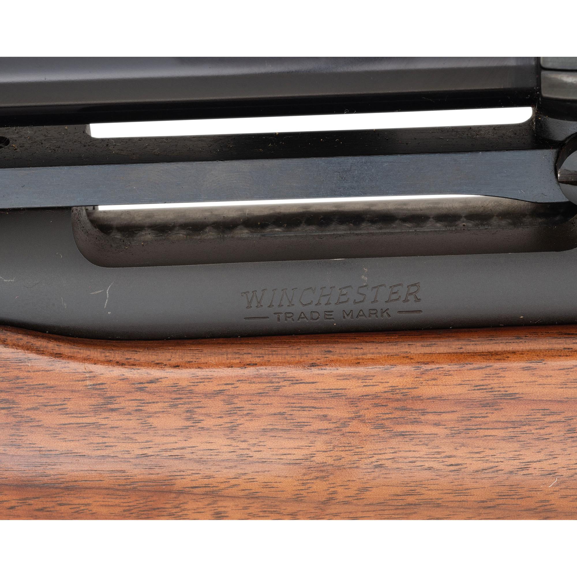 * Winchester Model 70 in .458 Winchester Magnum with Scope