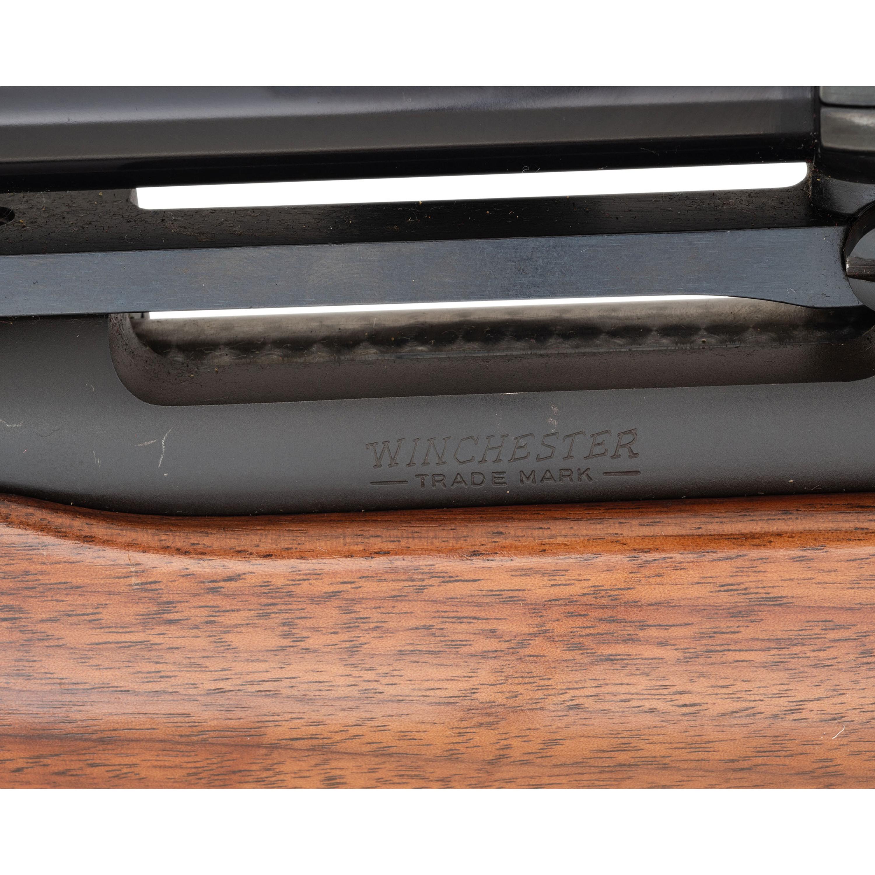 * Winchester Model 70 in .458 Winchester Magnum with Scope