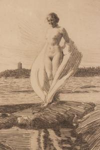 The Swan